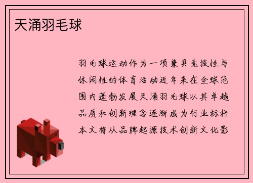 天涌羽毛球