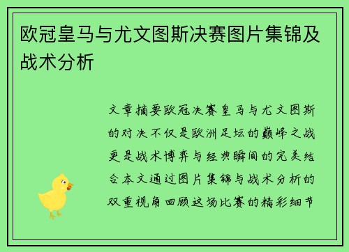 欧冠皇马与尤文图斯决赛图片集锦及战术分析